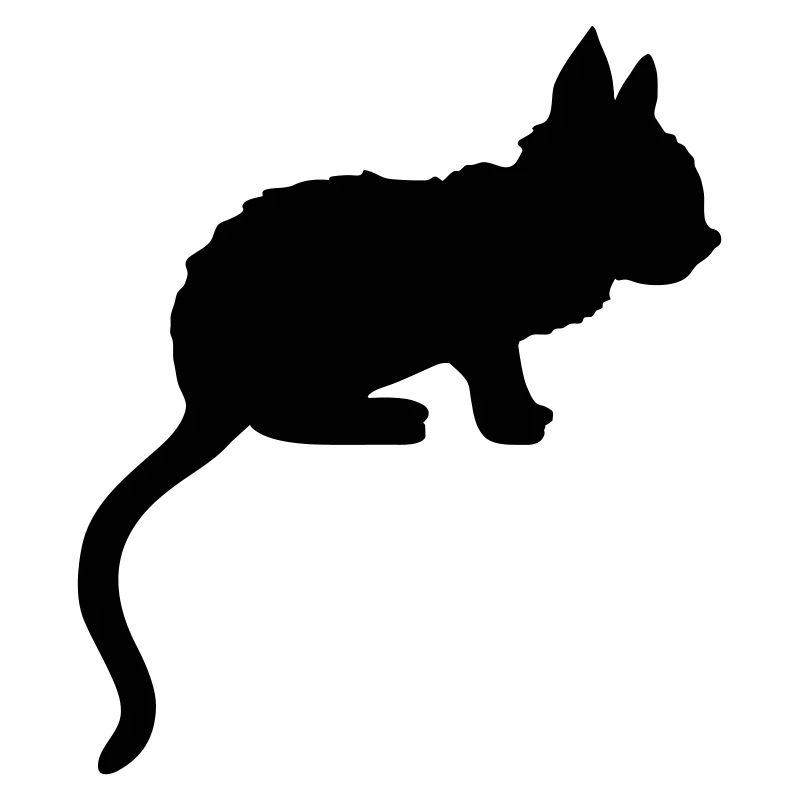 Silhouette ombre chaton mignon
