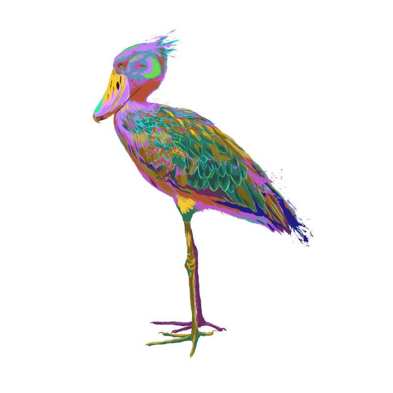 Bunter Splash Vogel Schuhschnabel