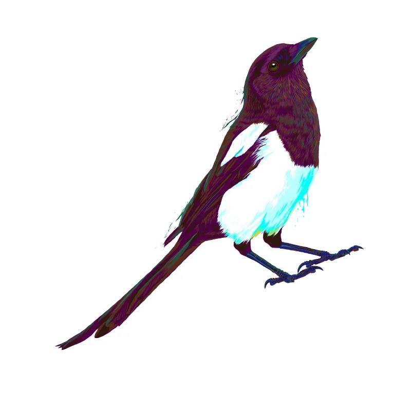 Bunter Splash Vogel Elster