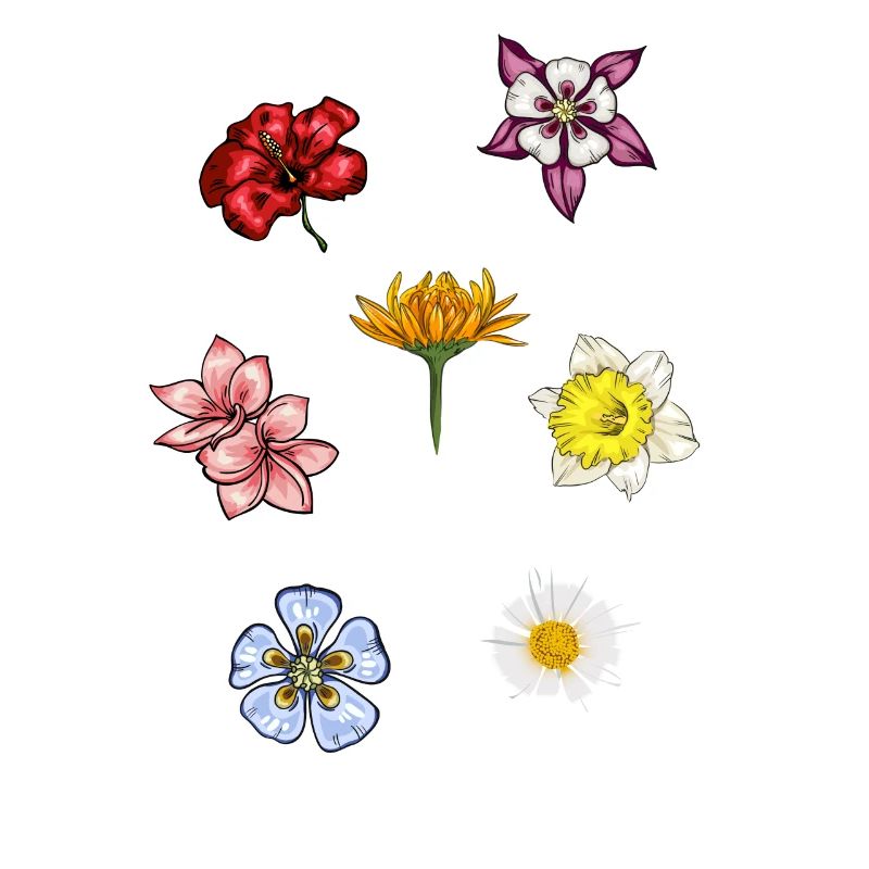 Espèces de fleurs Fleurs