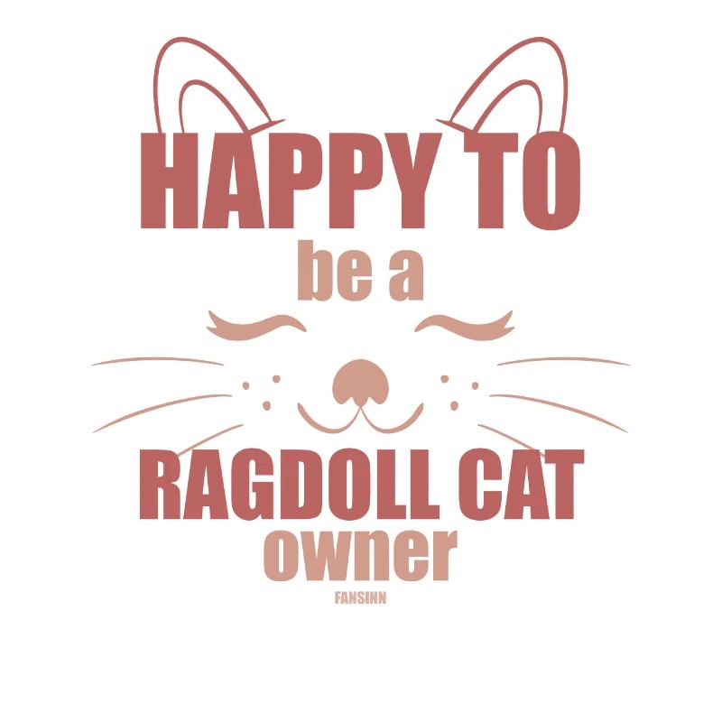 Ragdoll Cat Cat Lovers Chatons Chatons