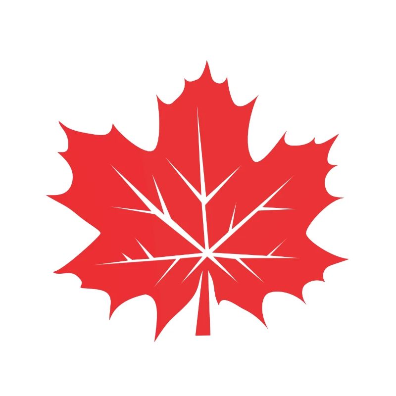 Feuille d’érable Feuille Canada Arbre