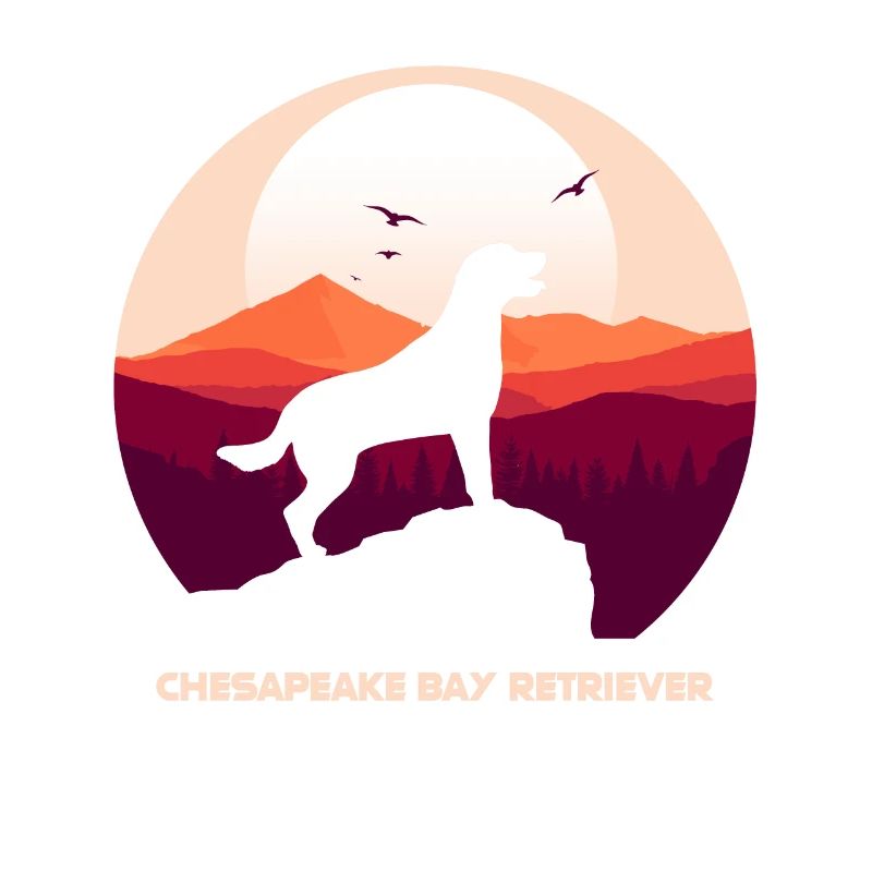 Retriever de la baie de Chesapeake
