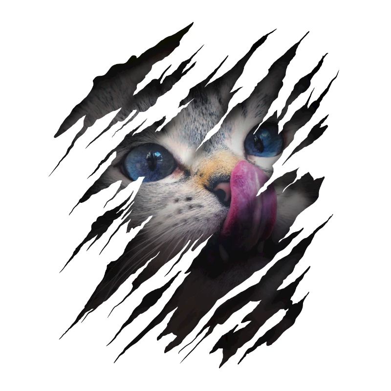 Katze mit Kratzer - Katzengesicht Scratch Cat