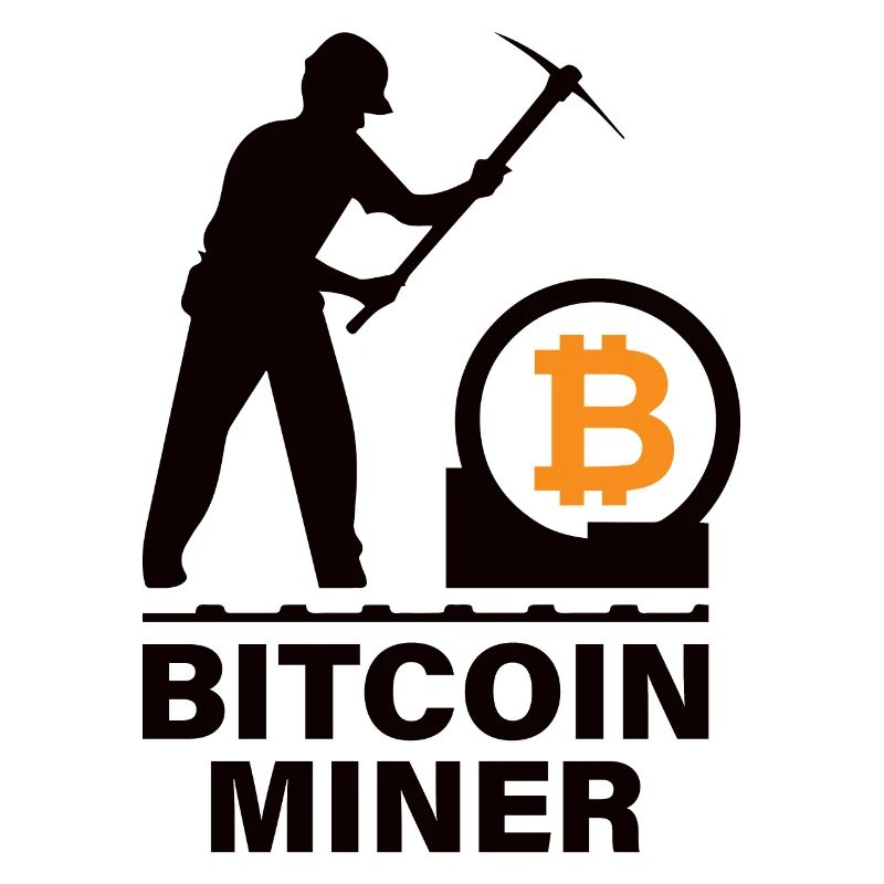Bitcoin BTC Satoshi Miner Mining Maximalist
