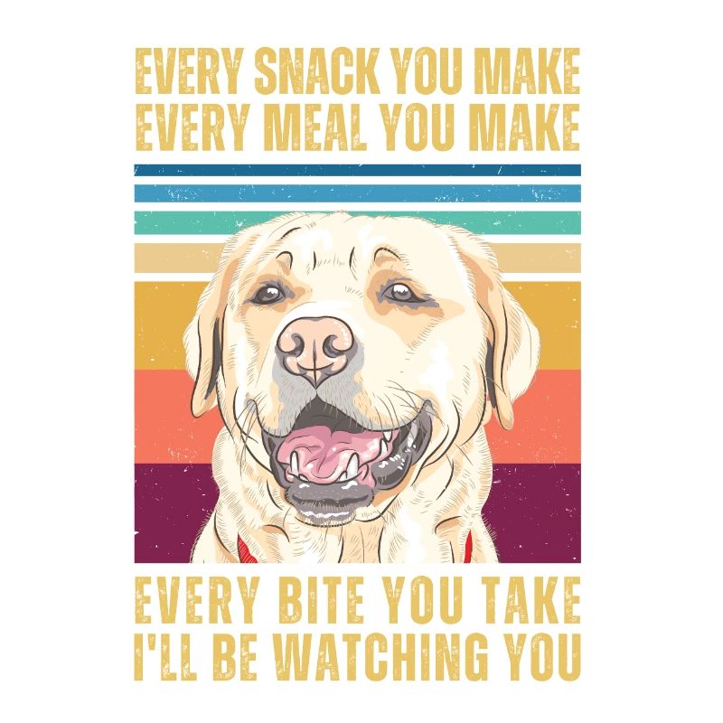 REGARDER RETRIEVER