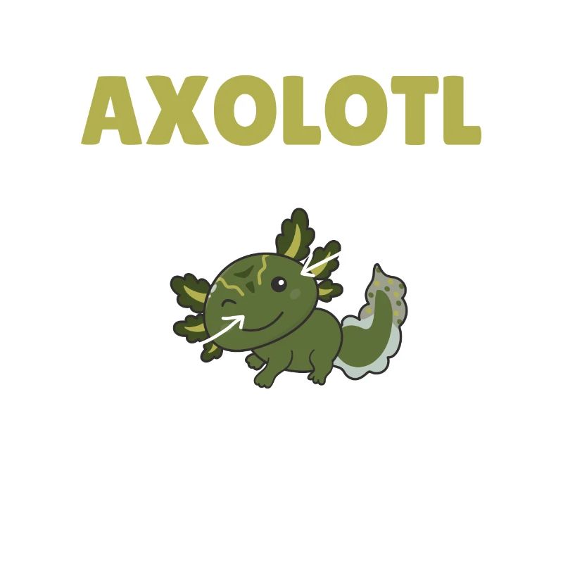 Axolotl Explication Anatomie d’un Axolotl