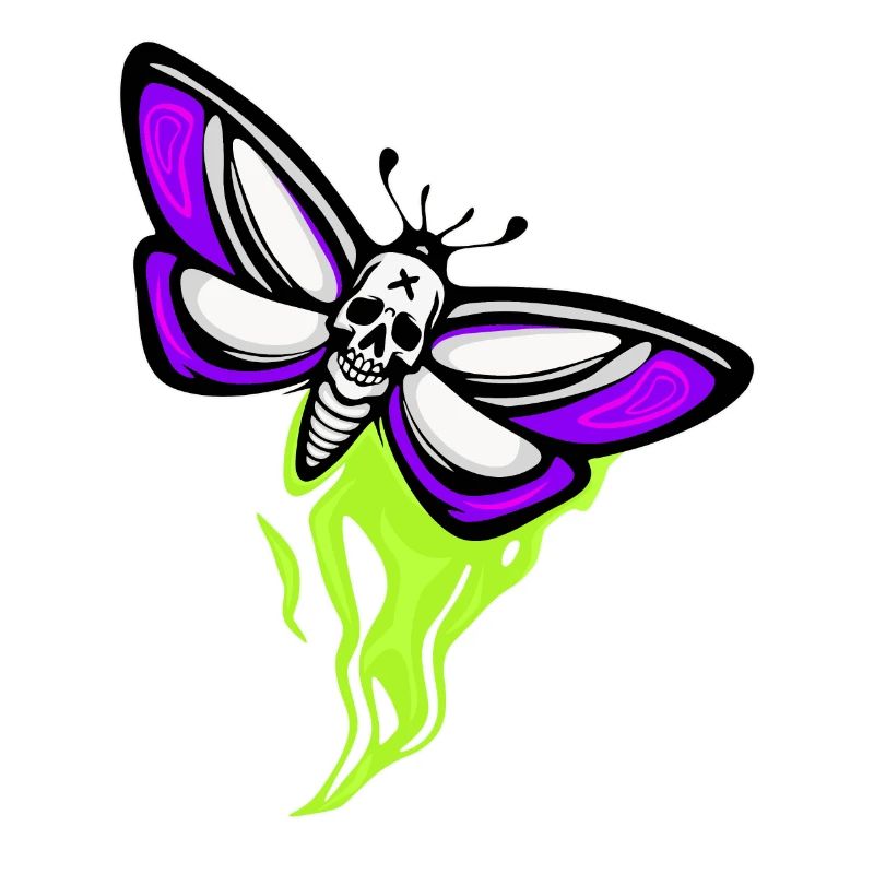 Moth Skull Schaedel