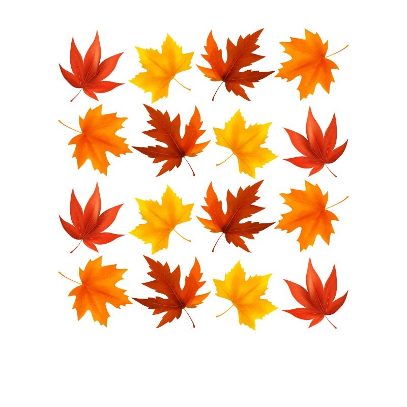 Fall Leaves Oktober Lover Herbst Leave Maple Leaf