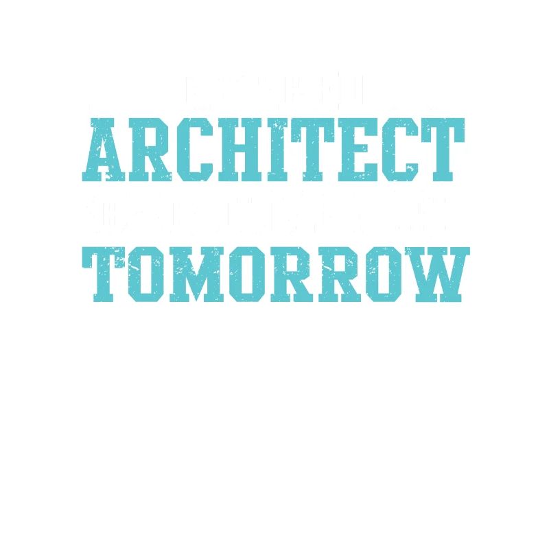 Architect's Gift, Architecture Lover