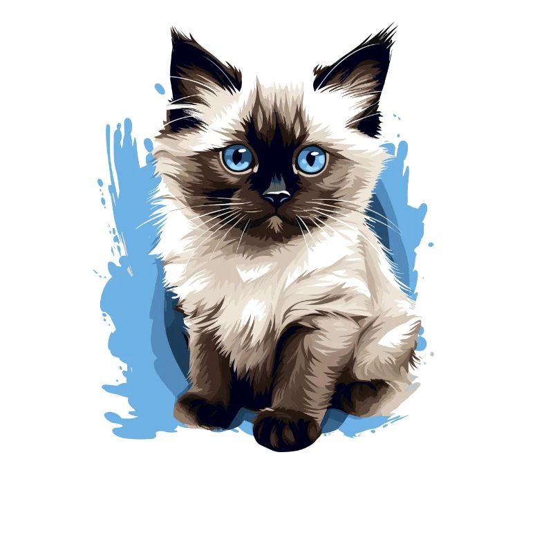 Birman Cat Birma Katze
