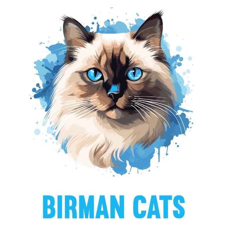 Birman Cat Birma Katze