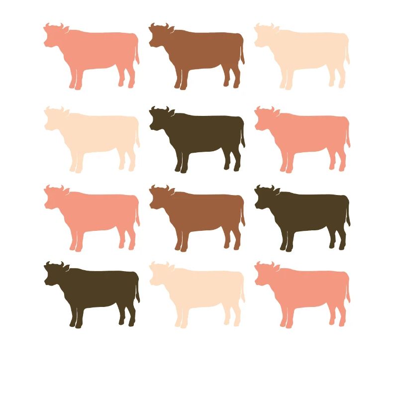 Cows