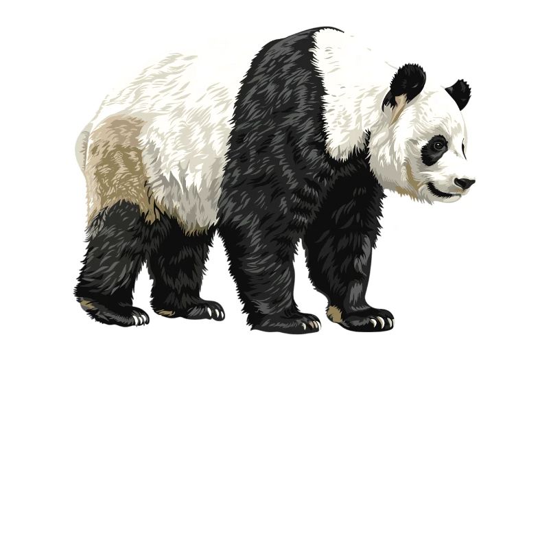 Panda géant Pandas Große Pandas Großer Panda