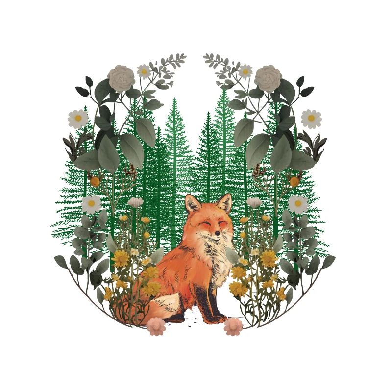 Foxes, Foxes, Forest, Forest Animals, Forest Dwellers