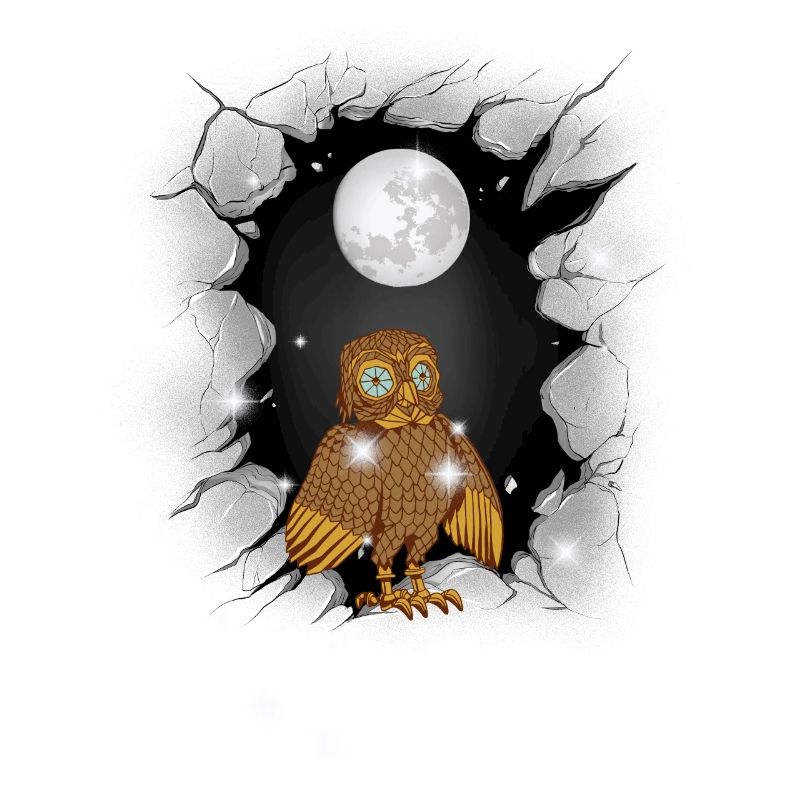 Eule Eulen Mond