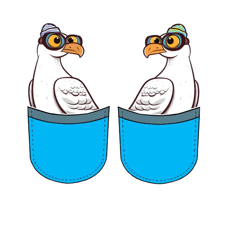 Marins Seagulls Marins maritimes