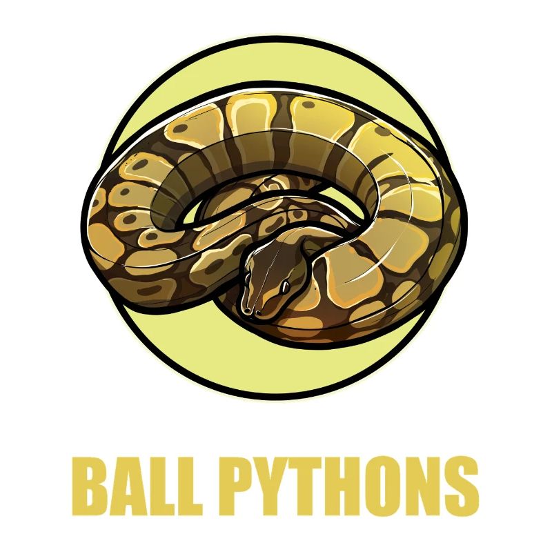 Ball Python Roi Python Roi Python
