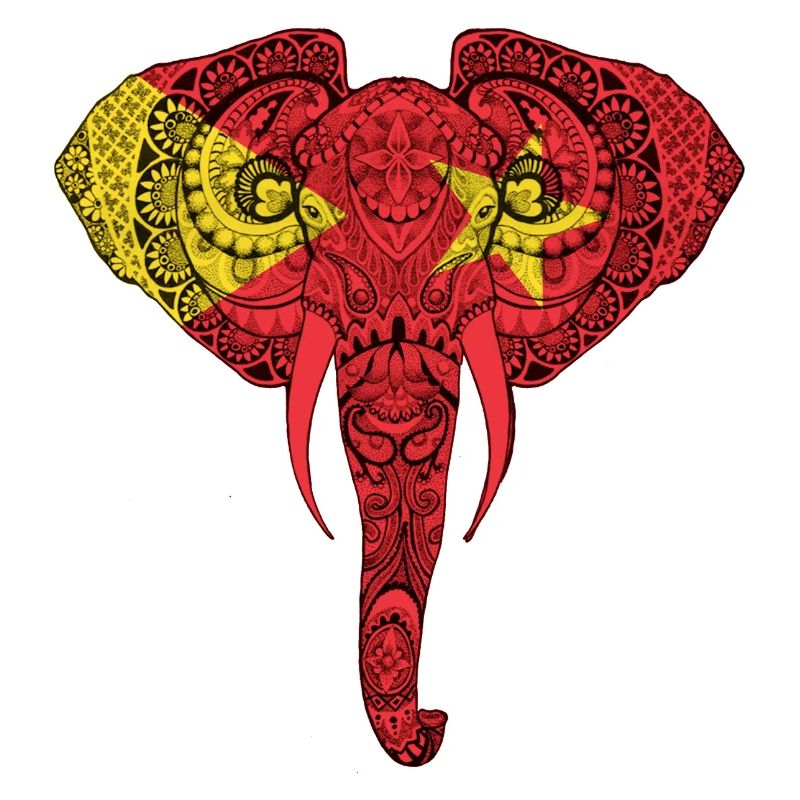 Éléphant de drapeau du Tigré - Support Tigray