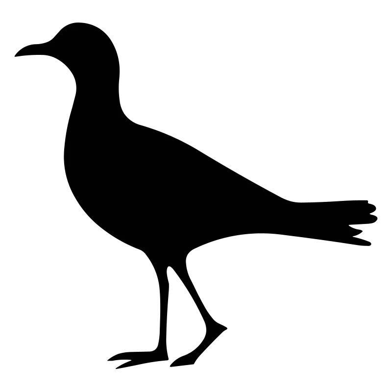 Oiseau