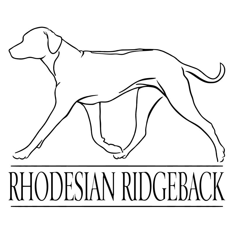RHODESIAN RIDGEBACK chien Wilsigns