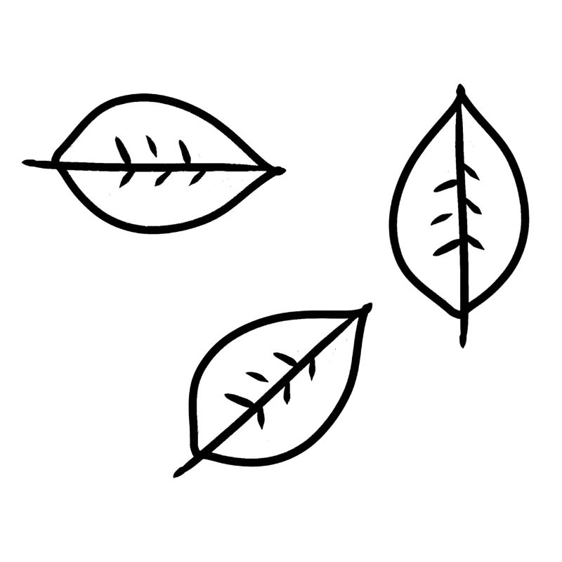 Leaf Three Leaves Symbol Shape Nature