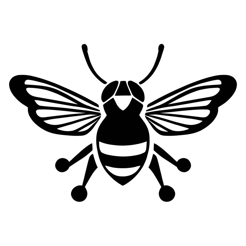 Cicada