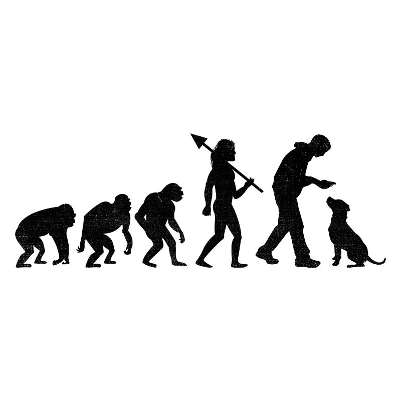 Retro Evolution Labrador Retriever Lab Dog Retriev