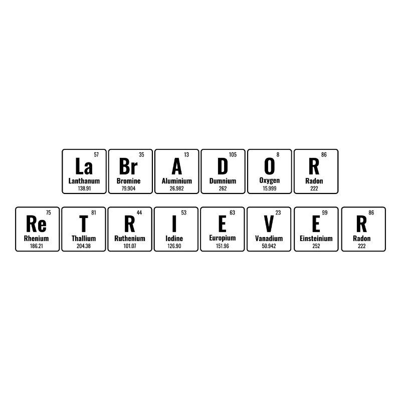 Periodisches System der Elemente Labrador Retriever La