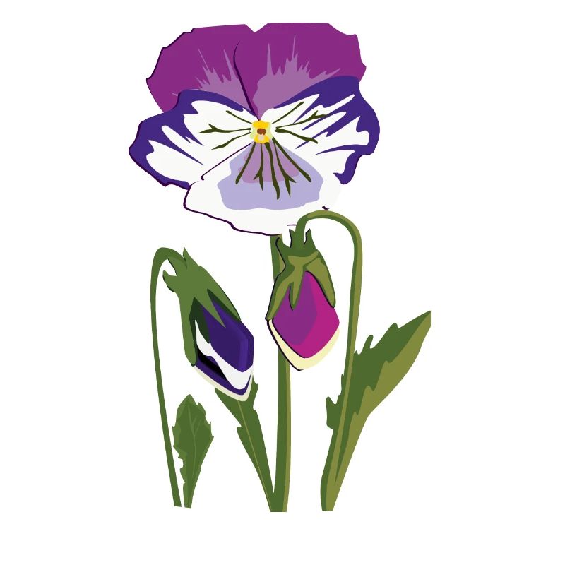 Fleur de violette