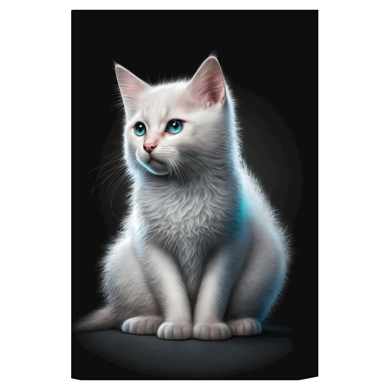 Chat blanc