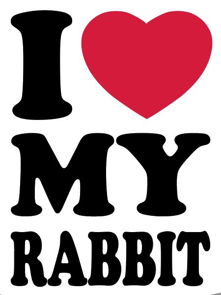 I love my rabbit