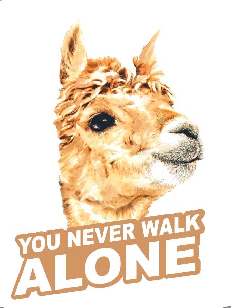 Alpaca