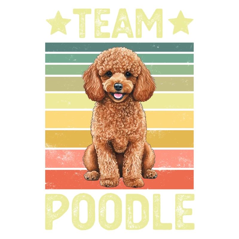 Caniche de chien