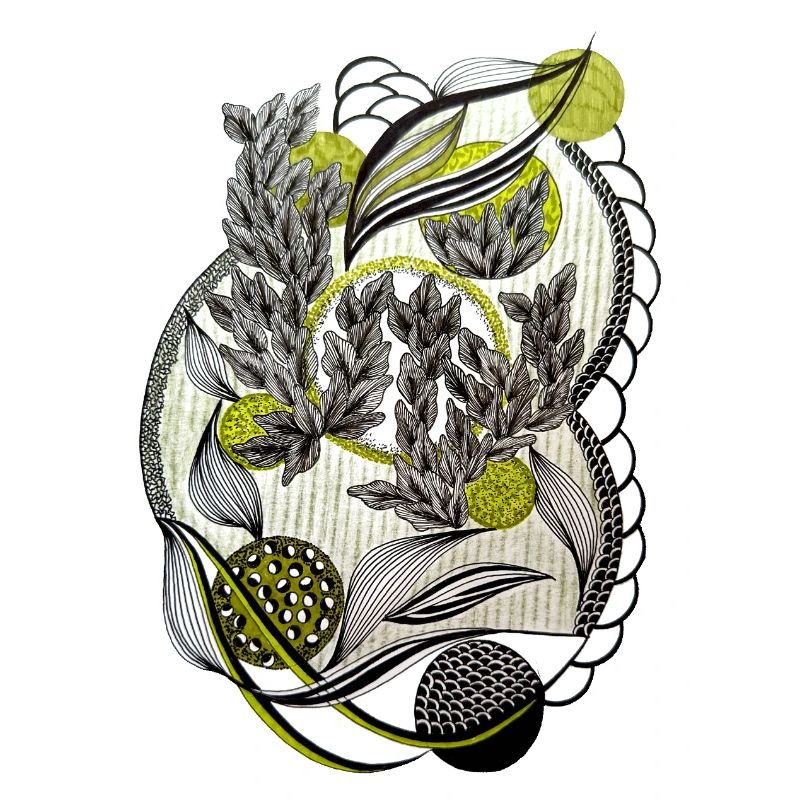 Kaleidoscopic plant graphics