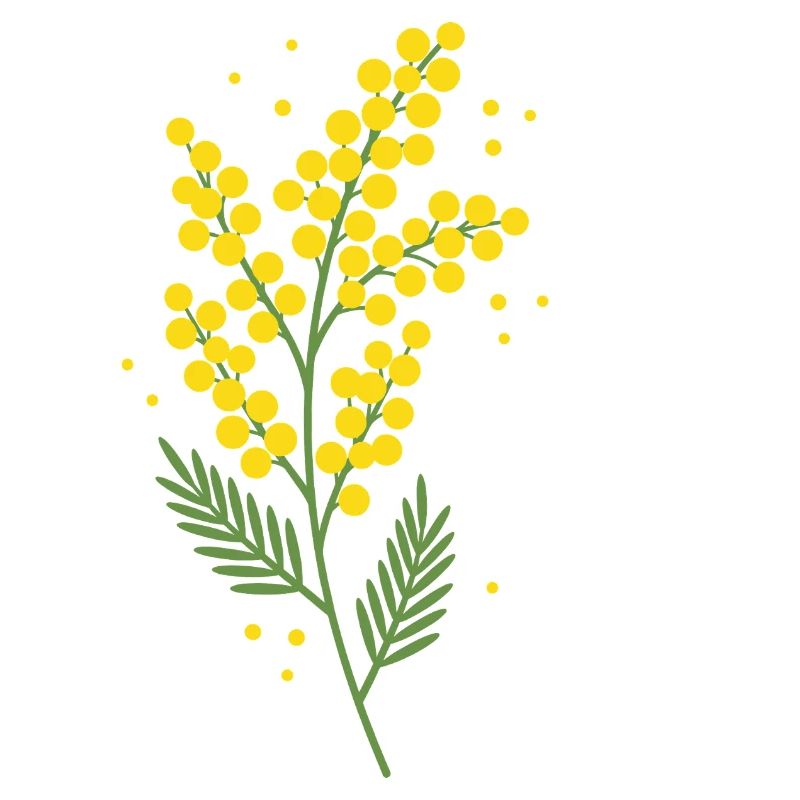 Chère Maman Fleurs