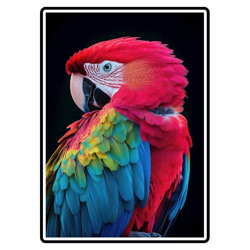 Macaw's Era