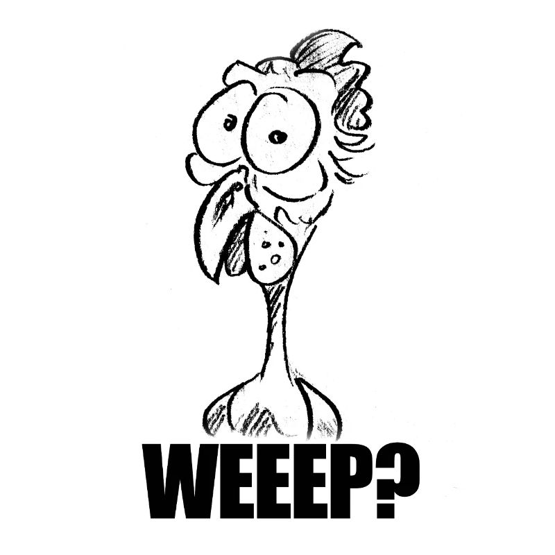 WEEEP? Baffled Chicken Head – Humor