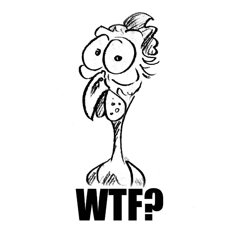 WTF? Chicken Head - Funny Comic Meme