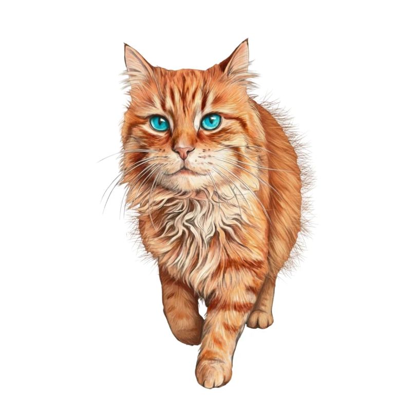 Blauäugige orangefarbene Katze