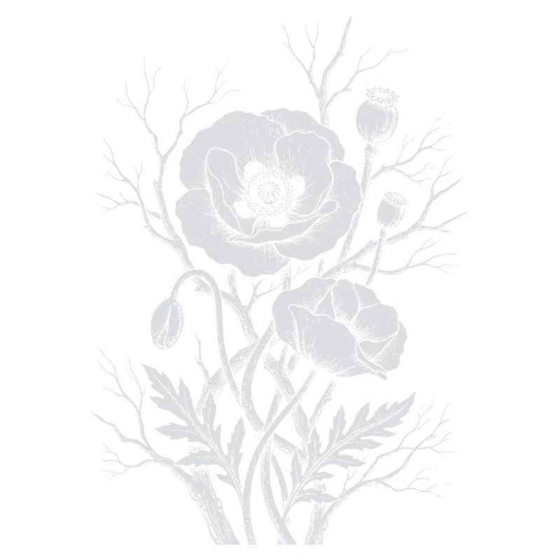 Fleurs de pavot