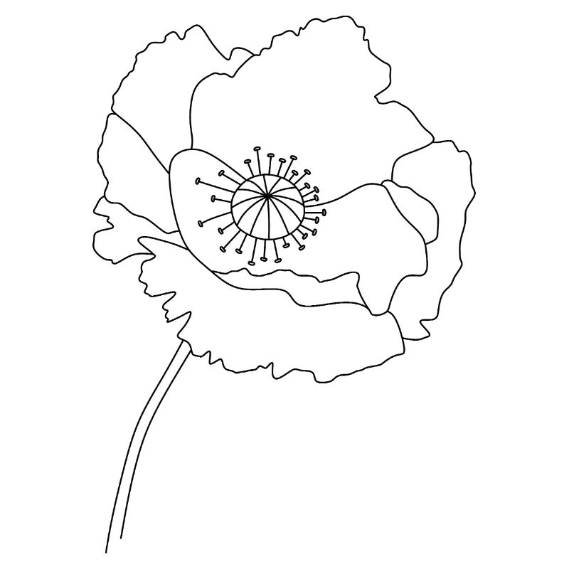 Silhouette de fleur de pavot