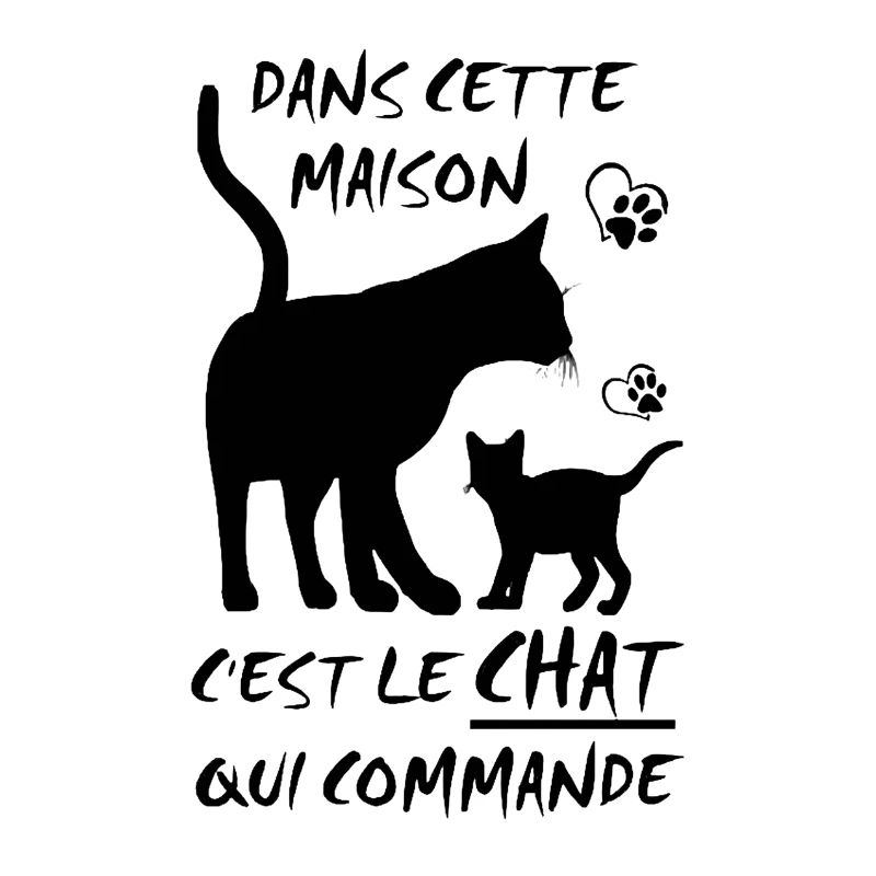 le Chat qui Commande