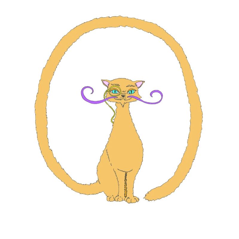 Salvador, le Chat avec une longue queue