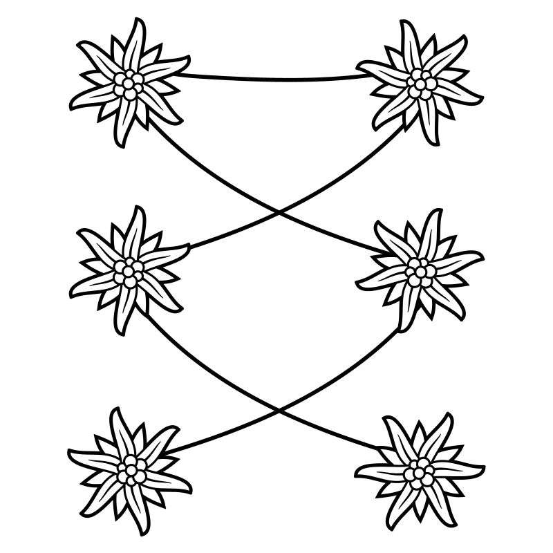 Grembiule dirndl Edelweiss