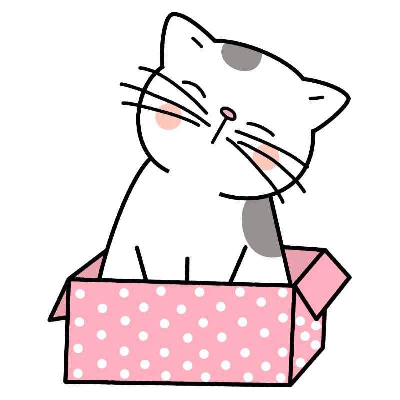 Katze Karton Niedlich