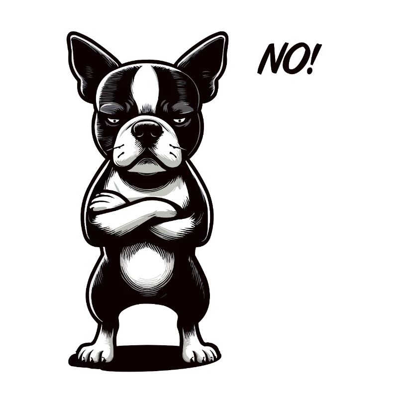 Pas de Boston Terrier Boston Propriétaire d’un Boston terrier