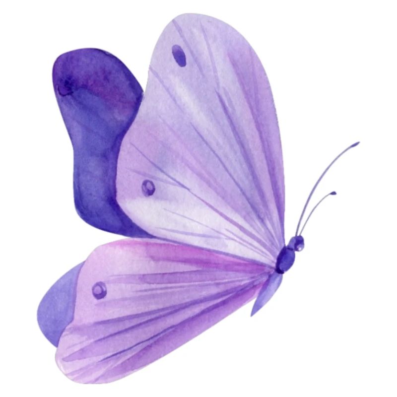 Papillon