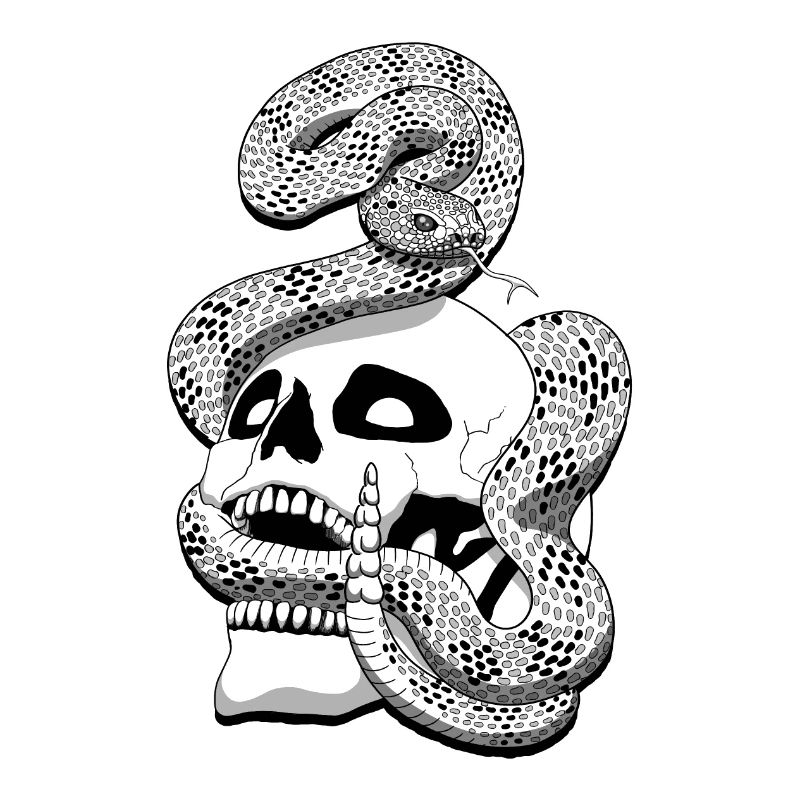Serpent à sonnette et crâne