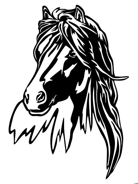 Horse Head